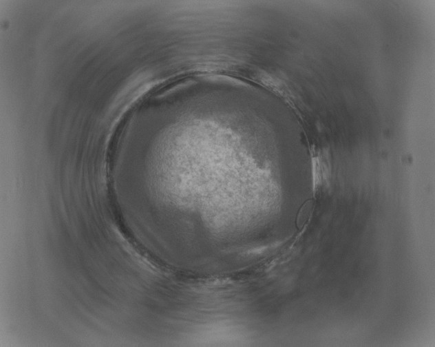 X0000074340243200609082104