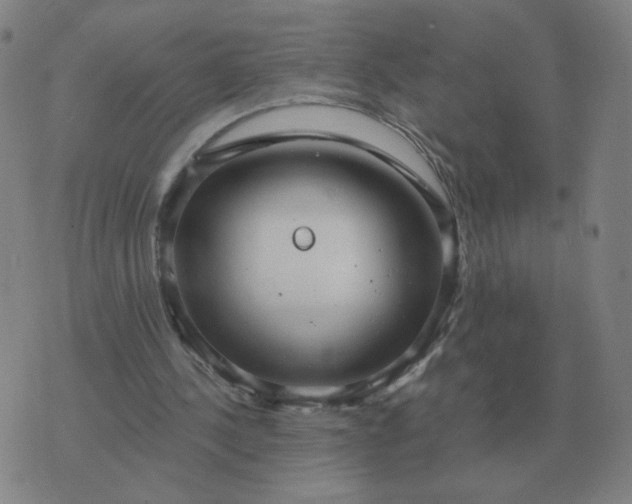 X0000074340244200609082104