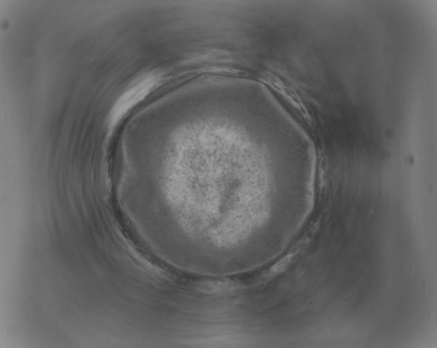 X0000074340245200609082104