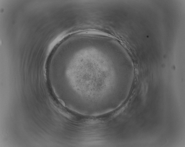 X0000074340246200609082104