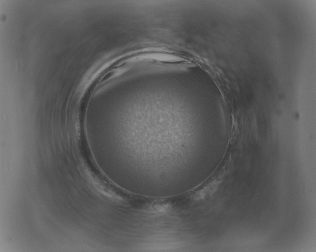 X0000074340247200609082104