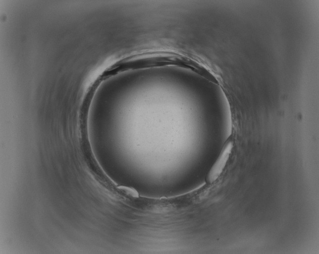 X0000074340248200609082104