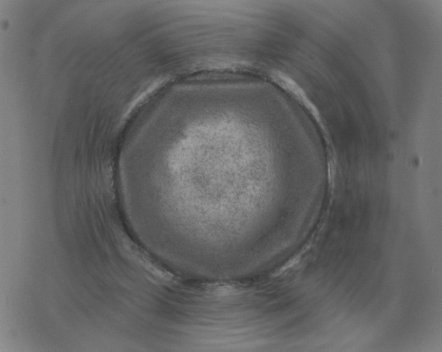 X0000074340249200609082104