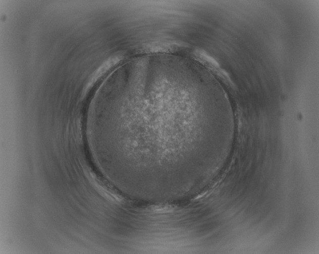 X0000074340250200609082104