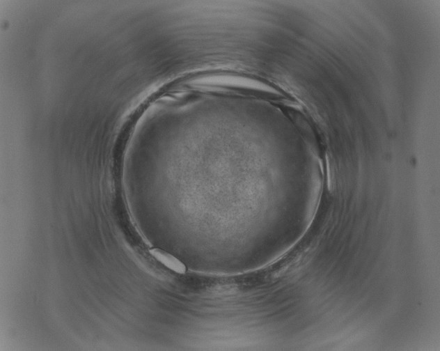 X0000074340252200609082104