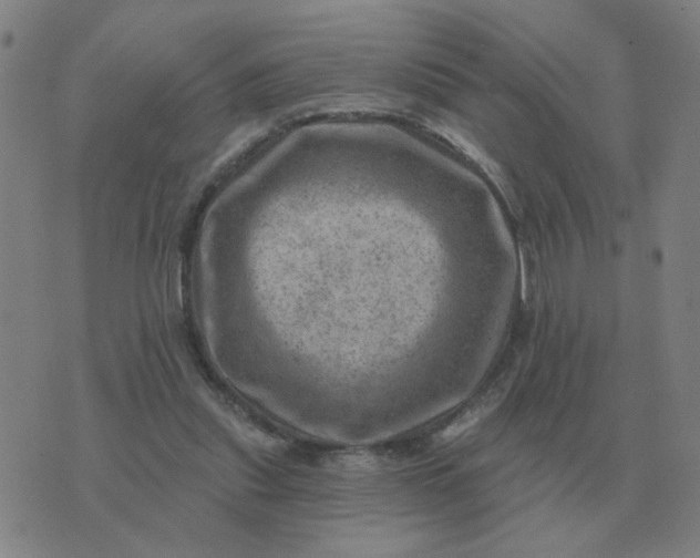 X0000074340253200609082104