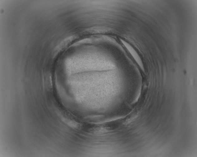 X0000074340254200609082104