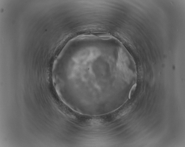 X0000074340255200609082104