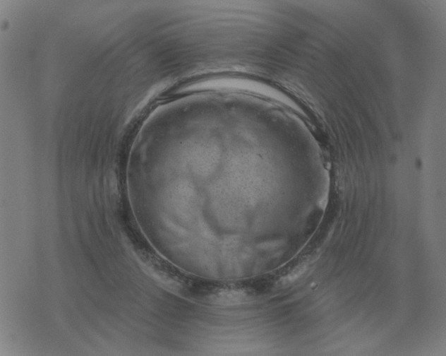 X0000074340256200609082104