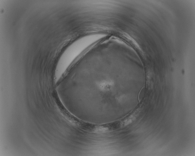 X0000074340257200609082104