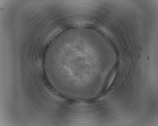 X0000074340258200609082104