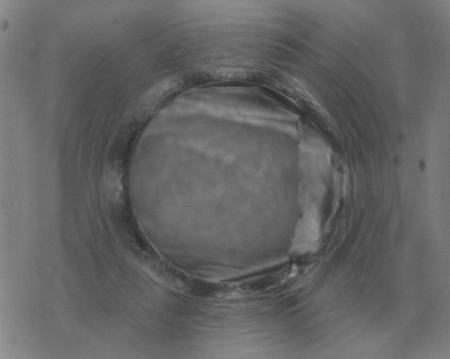 X0000074340259200609082104