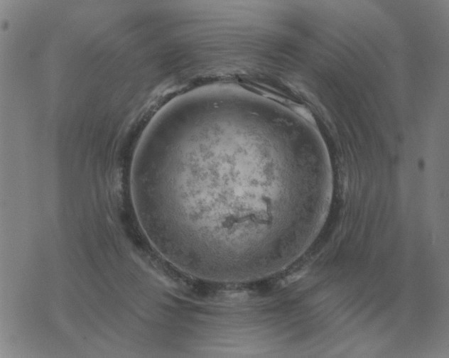 X0000074340260200609082104