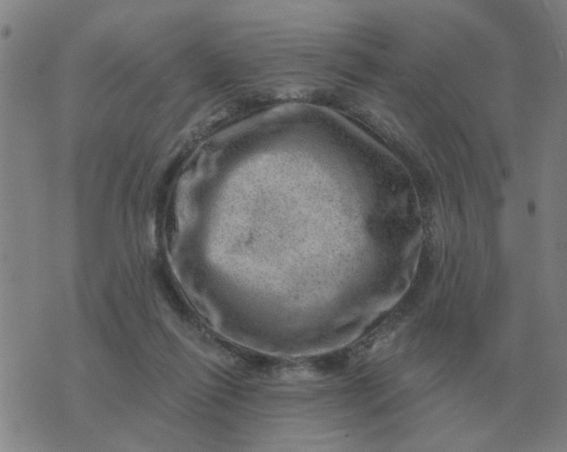 X0000074340262200609082104