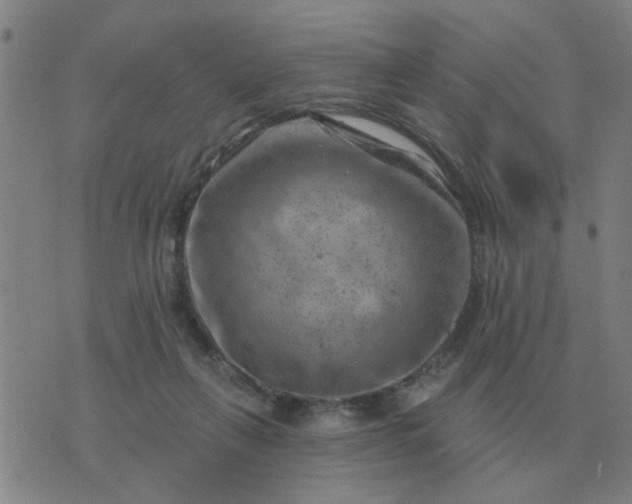 X0000074340263200609082104