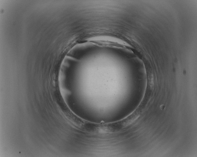 X0000074340264200609082104