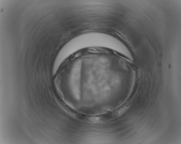 X0000074340265200609082104