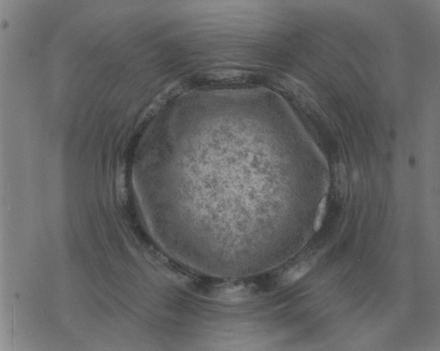 X0000074340267200609082104