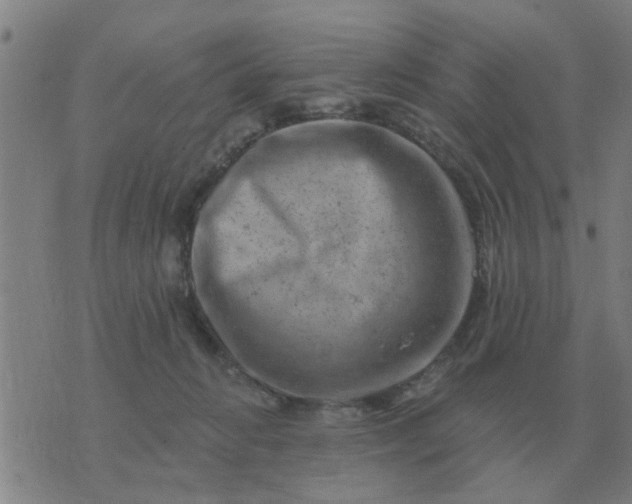 X0000074340270200609082105