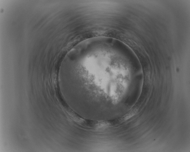 X0000074340274200609082105