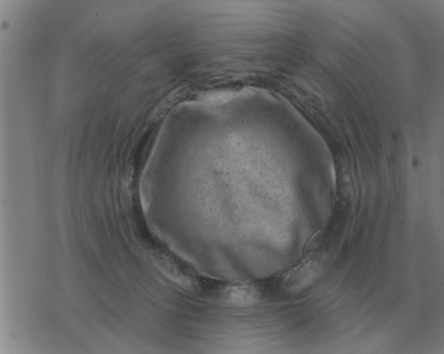 X0000074340275200609082105