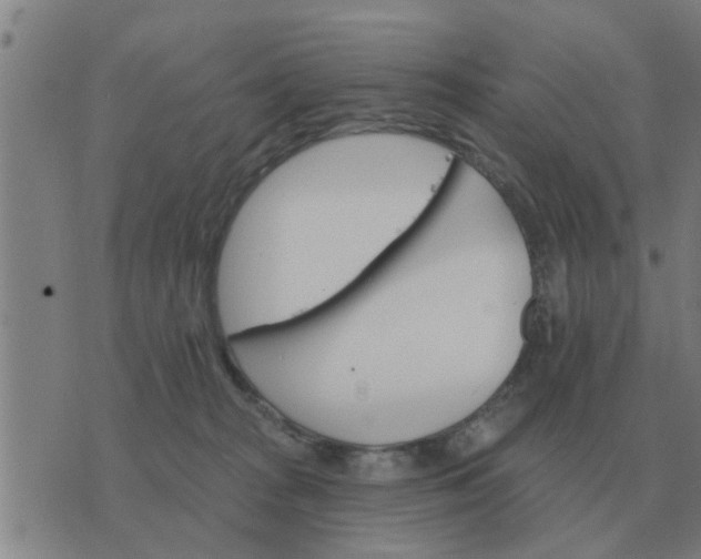 X0000074340277200609082105