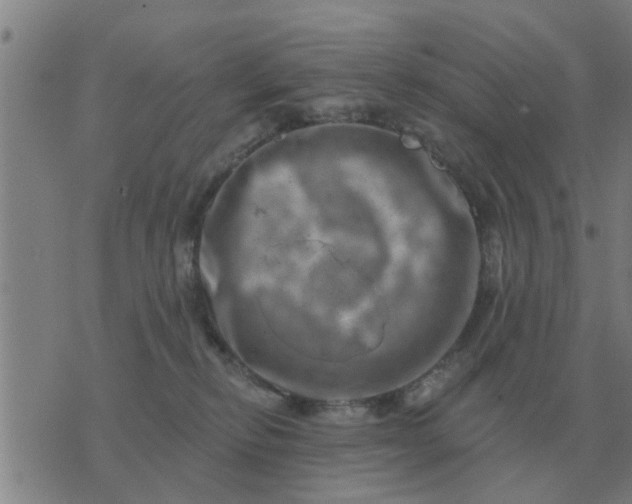 X0000074340278200609082105