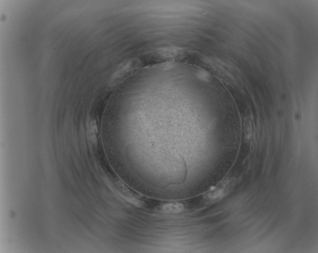 X0000074340279200609082105