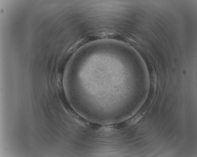 X0000074340280200609082105