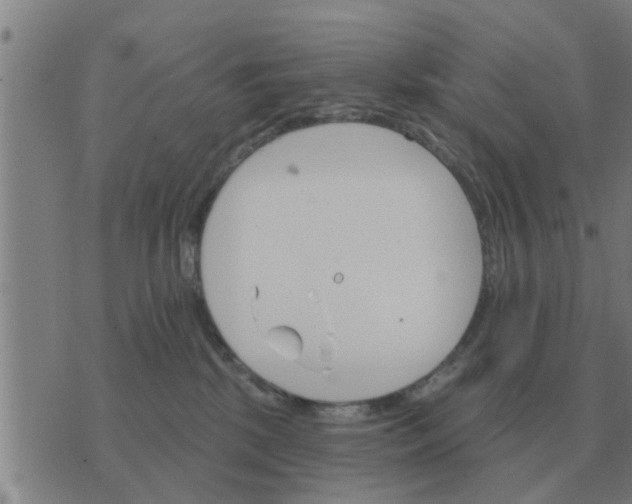 X0000074340281200609082105