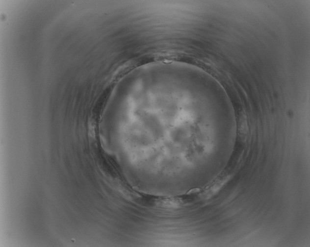 X0000074340282200609082105