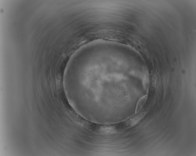 X0000074340283200609082105