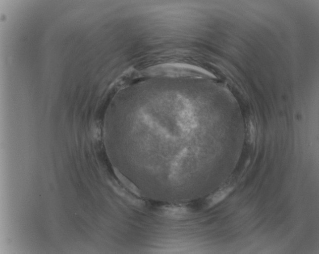 X0000074340284200609082105