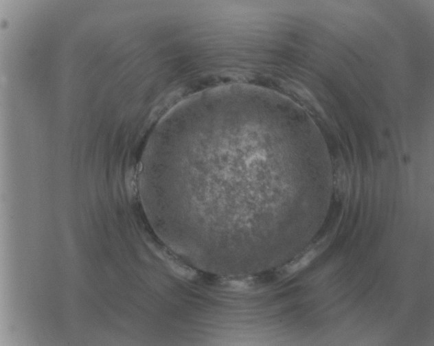 X0000074340285200609082105