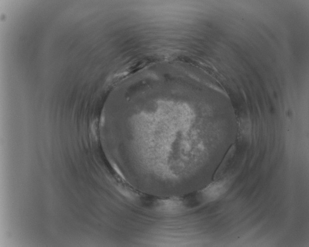 X0000074340286200609082105