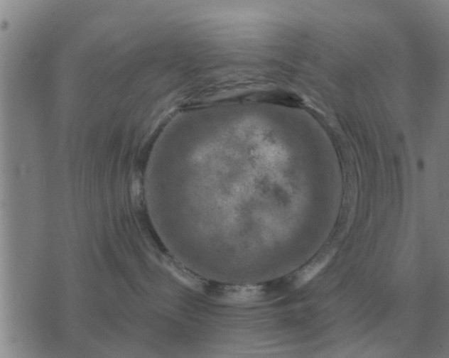 X0000074340288200609082105