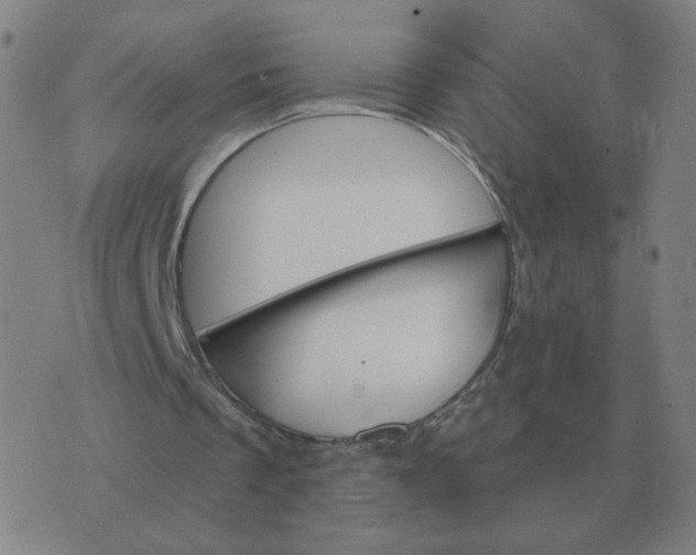 X0000074340289200609082104