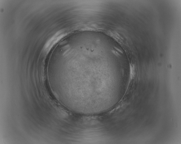 X0000074340291200609082104