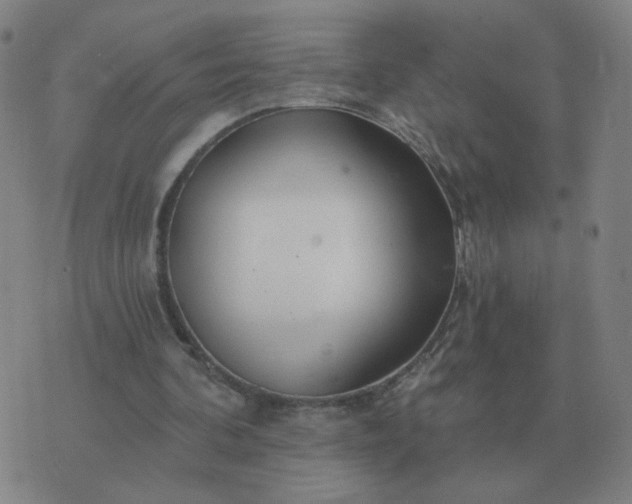 X0000074340292200609082104