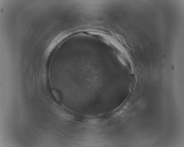 X0000074340295200609082104