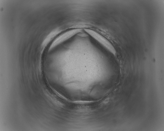 X0000074340296200609082104