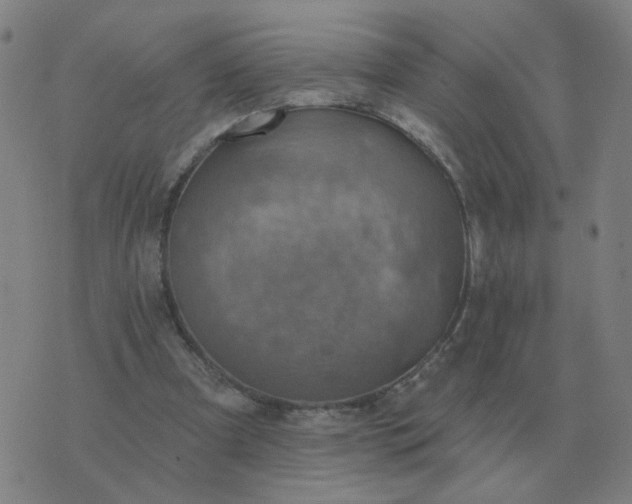 X0000074340297200609082104