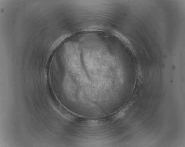 X0000074340298200609082104