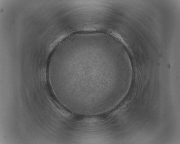 X0000074340299200609082104