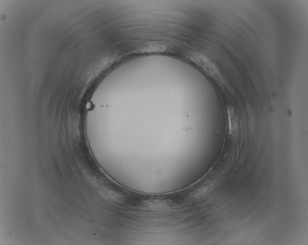 X0000074340300200609082104