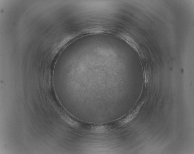 X0000074340301200609082104