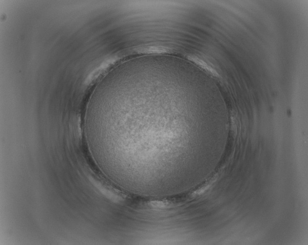 X0000074340302200609082104