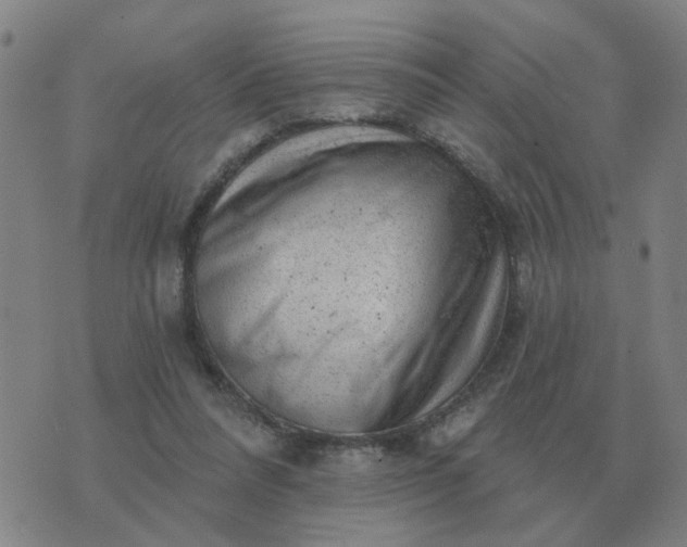 X0000074340304200609082104