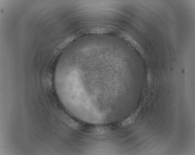 X0000074340305200609082104