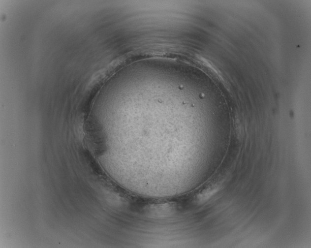 X0000074340307200609082104